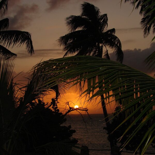 Viele Reisende wollen Ihr Budget für Reisen im Jahr 2024 erhöhen.